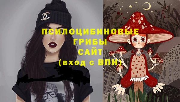 мет Арсеньев