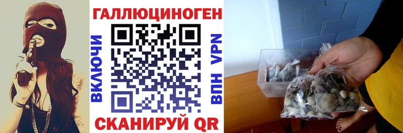 Псилоцибиновые грибы GOLDEN TEACHER это формула Саров